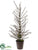 Pine Tree - Green - Pack of 1