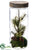 Pine Tree - Green - Pack of 4