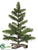 Pine Tree - Green - Pack of 6