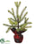 Pine Tree - Green - Pack of 6