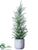 Pine Tree - Green Snow - Pack of 2