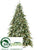 Fir Tree - Green - Pack of 1