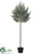 Spruce Tree Topiary - Green Gray - Pack of 1