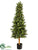 Pine Tree - Green - Pack of 1