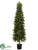 Pine Tree - Green - Pack of 1