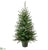 Forest Pine Tree - Green - Pack of 1