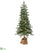 Monterey Pine Tree - Green - Pack of 1