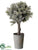 Pine Tree - Green - Pack of 4