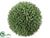 Seed Orb - Green - Pack of 4