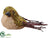 Moss Bird - Natural Green - Pack of 12