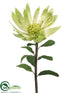 Silk Plants Direct Waratah Spray - Cream Green - Pack of 4