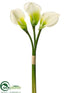 Silk Plants Direct Calla Lily Bundle - White - Pack of 6