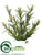 Rosemary Bush - Green - Pack of 6