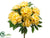 Peony Bush - Yellow - Pack of 6