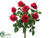 Rose Bush - Red - Pack of 6