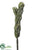 Churro Cactus - Green - Pack of 12