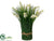 Muscari, Grass Standing Bundle - White - Pack of 1