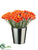 Gerbera Daisy - Orange - Pack of 12