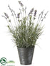 Silk Plants Direct Lavender - Lavender - Pack of 1