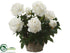 Silk Plants Direct Peony - Cream - Pack of 2