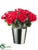 Rose Bundle - Red - Pack of 12