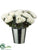 Rose Bundle - White - Pack of 12