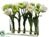 Silk Plants Direct Tulip - White - Pack of 1