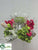 Arrangement - Green Red - Pack of 4