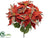 Poinsettia Bush - Red - Pack of 12