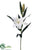 Casablanca Lily Spray - White - Pack of 4