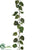 Pothos Garland - - Pack of 12