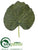 Galax Leaf Pick - Green - Pack of 576