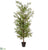 Cedar Tree - Green - Pack of 1