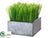 Grass - Green - Pack of 18