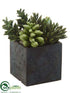 Silk Plants Direct Succulent Garden - Green - Pack of 4