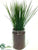 Grass - Green - Pack of 6