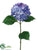 Hydrangea Spray - Delphinium Helio - Pack of 12