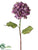 Hydrangea Spray - Violet - Pack of 6