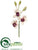 Large Cymbidium Orchid Spray - Cream Burgundy - Pack of 12