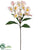 Plumeria Spray - Pink Cream - Pack of 4