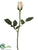 Single Princess Mary Rose Bud Spray - Cream Green - Pack of 6