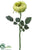 Rose Spray - Green - Pack of 6