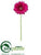 Gerbera Daisy Spray - Wine - Pack of 12