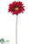 Gerbera Daisy Spray - Red - Pack of 6