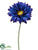 Large Royal Gerbera Daisy Spray - Blue Deep - Pack of 6