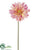 Large Royal Gerbera Daisy Spray - Peach - Pack of 6