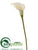 Calla Lily Spray - Cream - Pack of 6