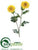 Zinnia Mum Spray - Yellow - Pack of 12