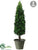 Cedar Topiary Cone - Green - Pack of 1