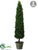 Cedar Topiary Cone - Green - Pack of 1